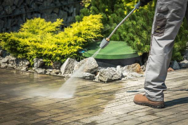 Best Gutter Cleaning  in Tallapoosa, GA