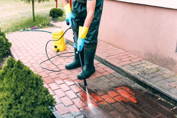 Best Animal Enclosure Cleaning  in Tallapoosa, GA